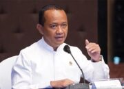 Genjot Produksi Etanol, ESDM akan Jajaki Kolaborasi dengan Industri Singkong hingga Tebu