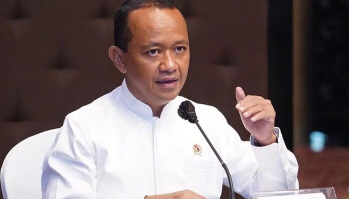 Genjot Produksi Etanol, ESDM akan Jajaki Kolaborasi dengan Industri Singkong hingga Tebu